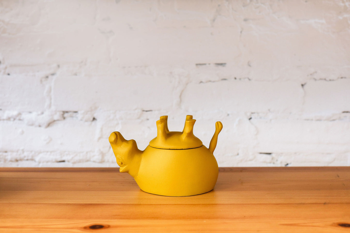 The Sleeping Hippo in Mustard