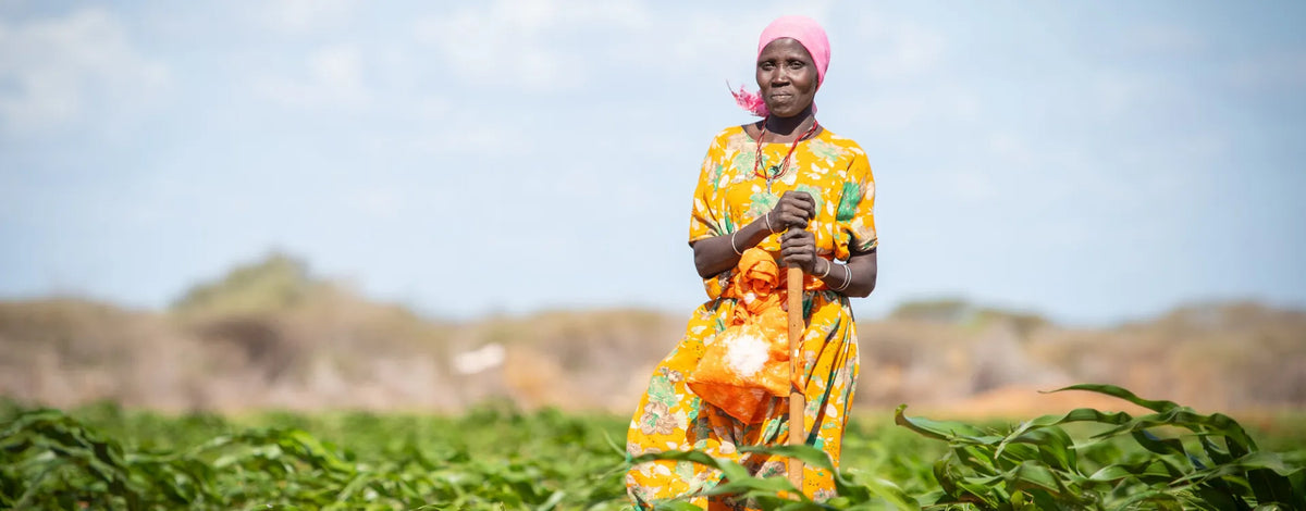 Climate finance, adaptation and just transitions: What to expect from COP30